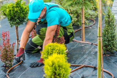 Responsable des espaces verts