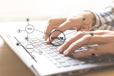 Product owner