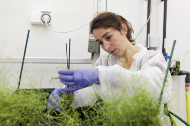 Biologiste en environnement