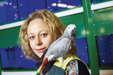 Vendeur / Vendeuse en animalerie