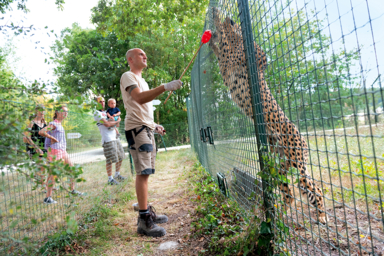 Soigneur / Soigneuse d'animaux