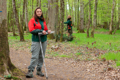 Technicien forestier / Technicienne forestière