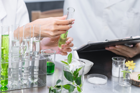 Ingénieur aromaticien / Ingénieure aromaticienne