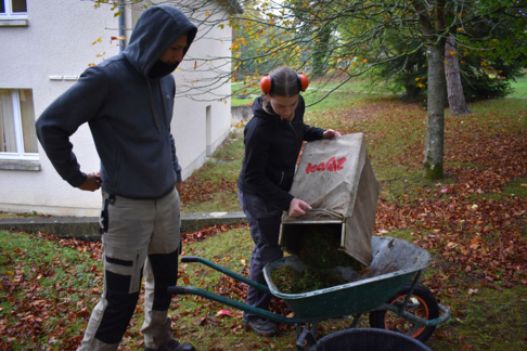 Technicien / Technicienne paysagiste
