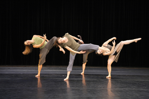 Danseur / Danseuse
