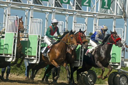 Lad-jockey, lad-driver