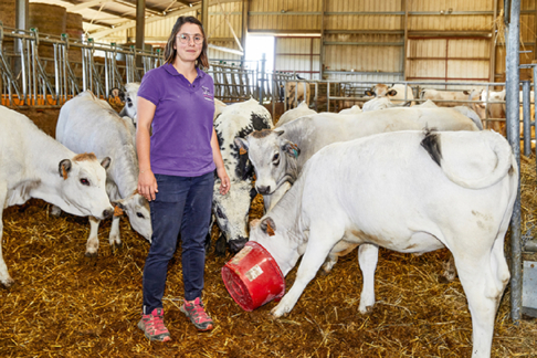 Responsable d'élevage agricole