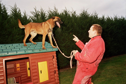 Éducateur canin / Éducatrice canine